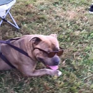 Meet your Posher, Alfredo